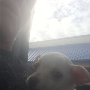 Meet your Posher, Jon